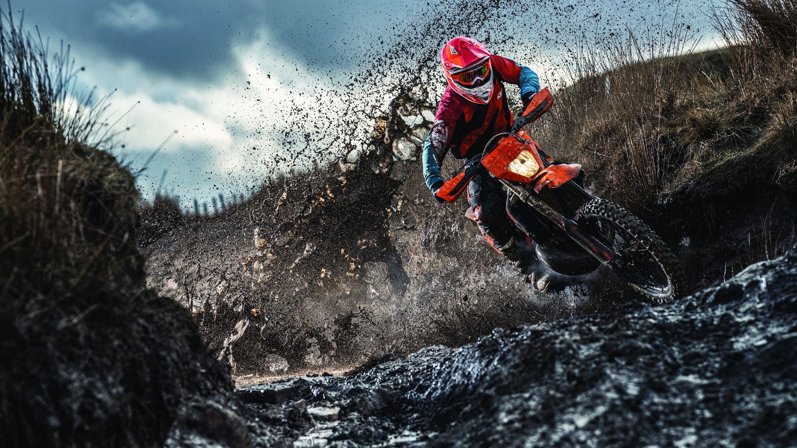 校园体育文化活动创新与推广研究，校园体育文化建设范畴包括